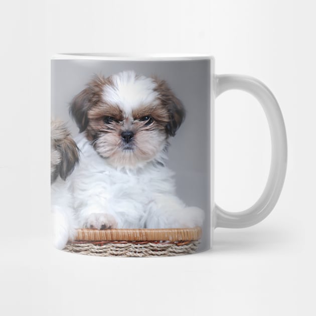 Shih Tzu puppies by PetsArt